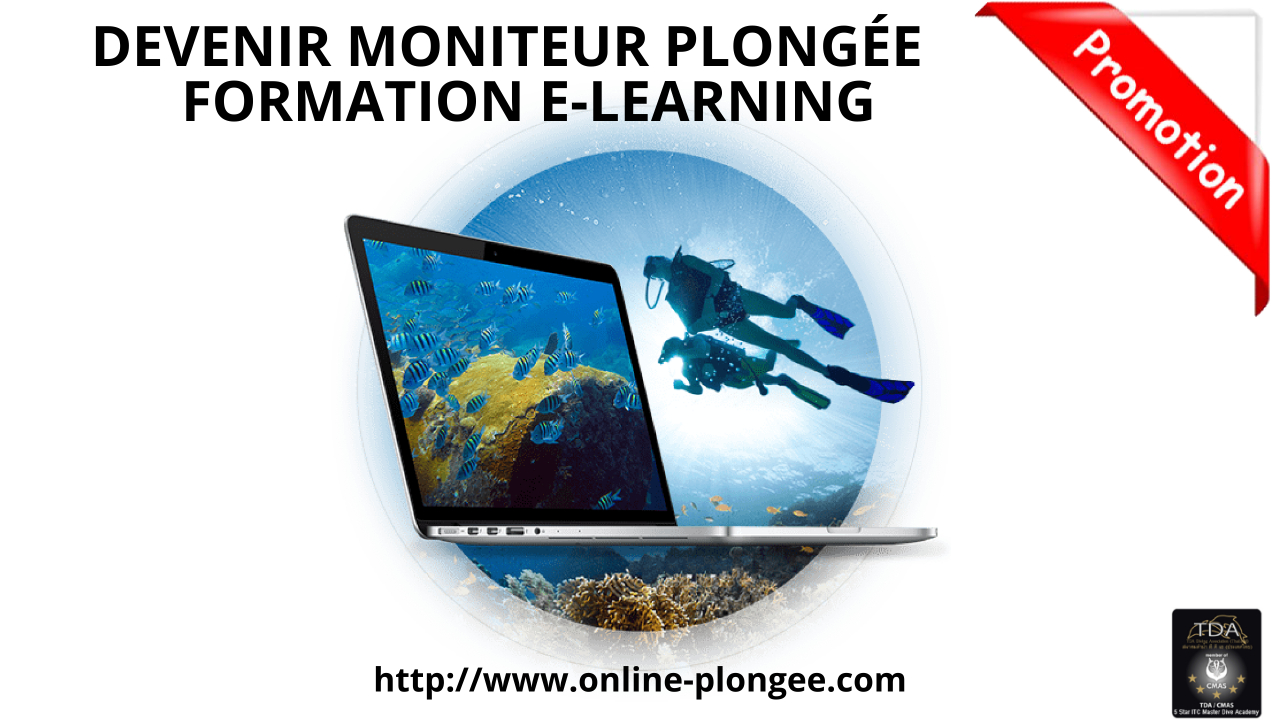 Niveau Moniteur en plongée CMAS