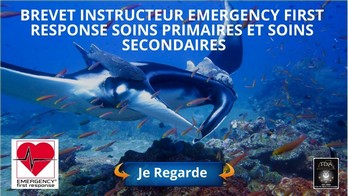 Niveau Secouriste EFR en plongée, e Learning CMAS