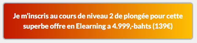 Devenir Niveau 2 CMAS en plongée sous-marine avec plongée scuba e-Learning CMAS, formation à la plongée en ligne cmas avec Plongée Asie, le centre elearning cmas de plongée 5 étoiles Dive Académy Thailand Diving Pattaya Thaïlande Asie, e learning cmas