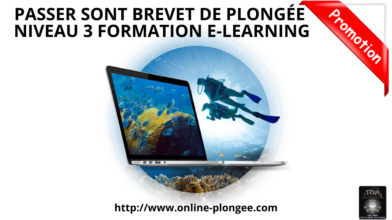 Niveau 3 en plongée CMAS