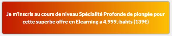 Devenir spécialite profonde Cmas en plongée sous-marine avec plongée scuba e-Learning CMAS niveau spécialite profonde, formation à la plongée en ligne cmas avec Plongée Asie, le centre eLearning CMAS niveau spécialite profonde cmas de plongée 5 étoiles Dive Académy Thailand Diving Pattaya Thaïlande Asie, e Learning CMAS niveau spécialite profonde Cmas Atus